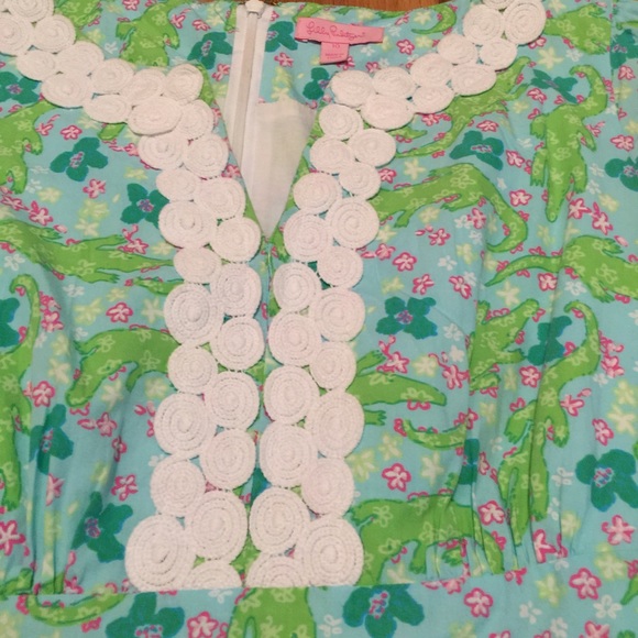 Lilly Pulitzer Dress - Picture 7 of 13